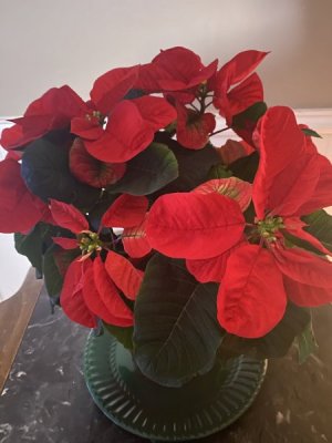 IMG_0383.jpeg