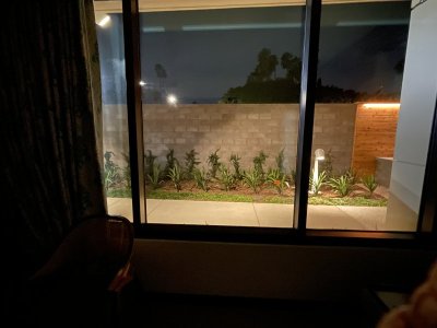 IMG_4368.jpeg