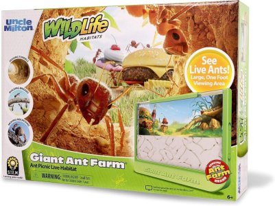 ant farm.jpg