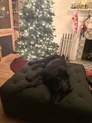 IMG_0361.jpeg