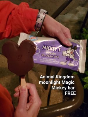 MM Mickey bar.jpg