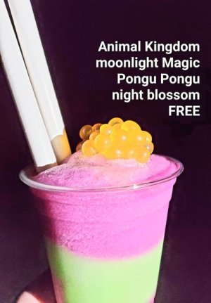 MM night blossom.jpg