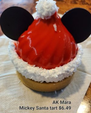 Mara Mickey Santa.jpg