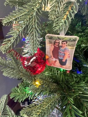 IMG_6652.jpeg