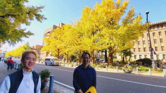 randomyokohamastreet.jpg