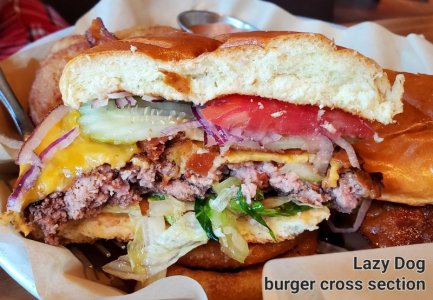 Lazy dog burger cross.jpg