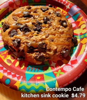 Contempo kitchen sink.jpg