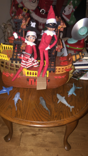 IMG_7260.png