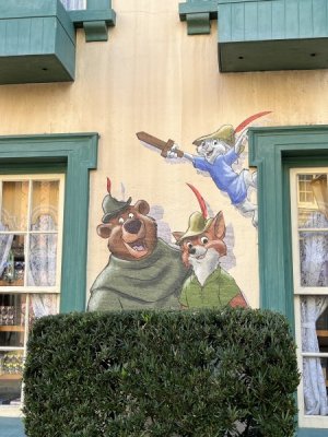 IMG_5180.jpeg