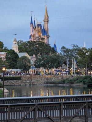 PXL_20231128_222645769.jpg