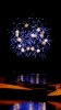 _MG_3571 (451x800).jpg