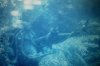 9-13-2011_003AAA.jpg