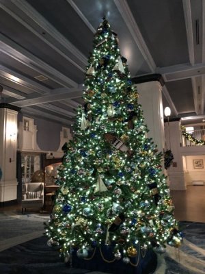 IMG_4841.jpeg