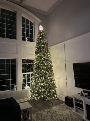 IMG_4624.jpeg