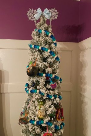 IMG_8290.jpg
