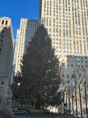 IMG_0995.jpeg