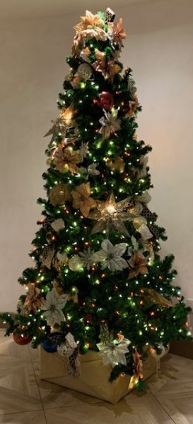 GDT HOLIDAY WALKWAY.jpg