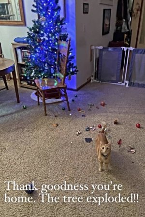 IMG_0365.jpeg