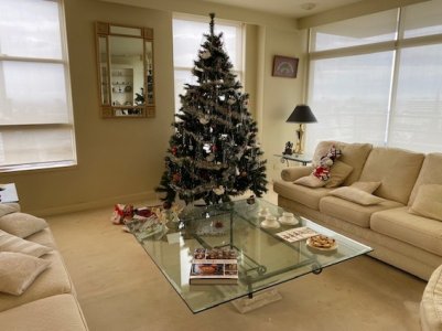 Tree 1.jpg