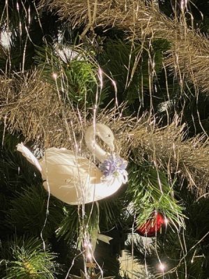 Tree 2.jpg