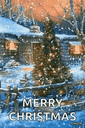 IMG_2851.gif