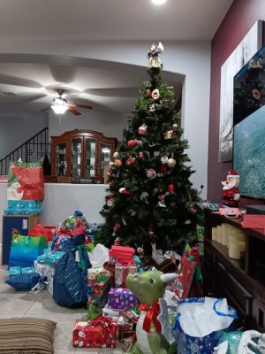 20231224_180447.jpg