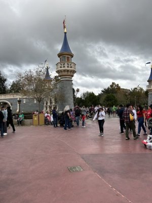 IMG_7581.jpeg