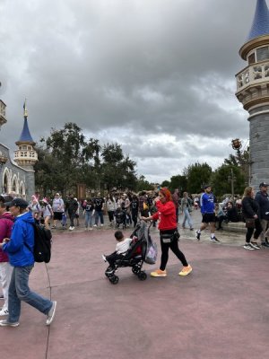IMG_7582.jpeg