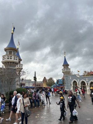 IMG_7584.jpeg