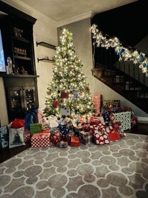IMG_3673.jpeg