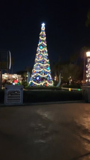 20231206_184332.jpg