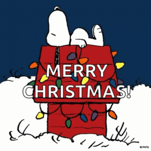 8af86c846f296867947f12a3602683f8.gif