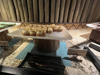 IMG_9625.jpeg