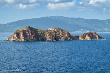 DSC_8240.jpg