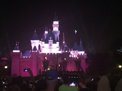 IMG_2403.jpeg