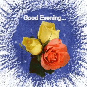 IMG_2864.gif