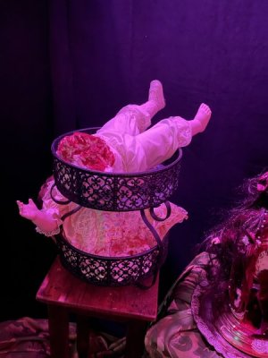 IMG_7834.jpeg