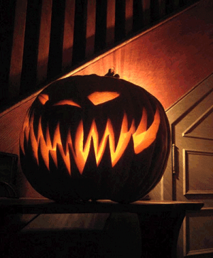 IMG_2637.gif