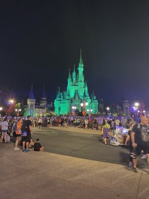 IMG_4241.JPG