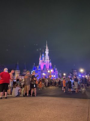 IMG_4242.JPG