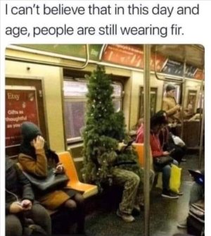 IMG_3554.jpeg