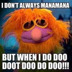 IMG_3550.jpeg