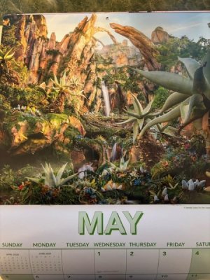 May.jpg
