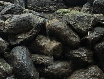 IMG_4879.jpeg