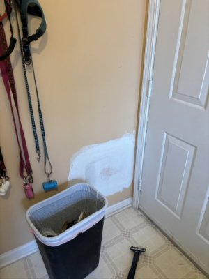 IMG_7116.jpeg