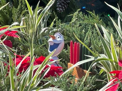 IMG_9201.jpg