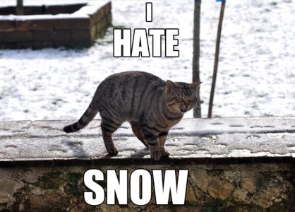i_hate_snow__by_ka_xanx21_d4oaue5-fullview.jpg