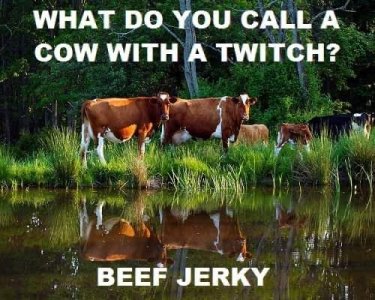 IMG_3569.jpeg