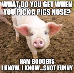 IMG_3570.jpeg