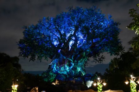 Disney 2023-085.jpg